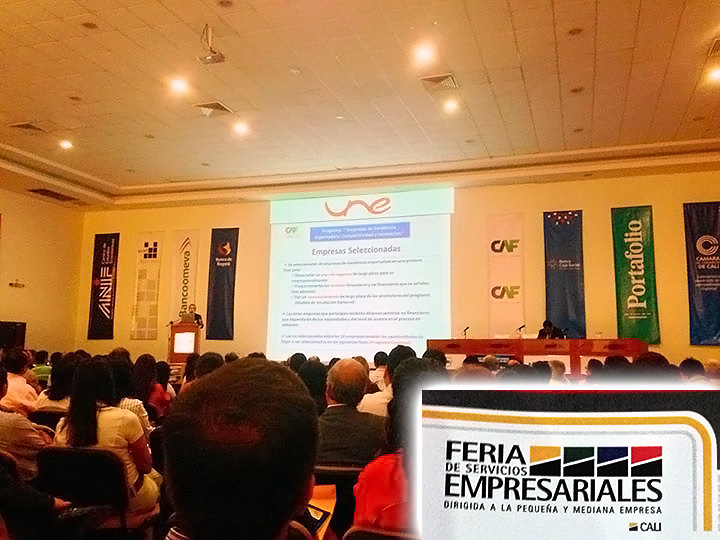 SME-Cali-2013
