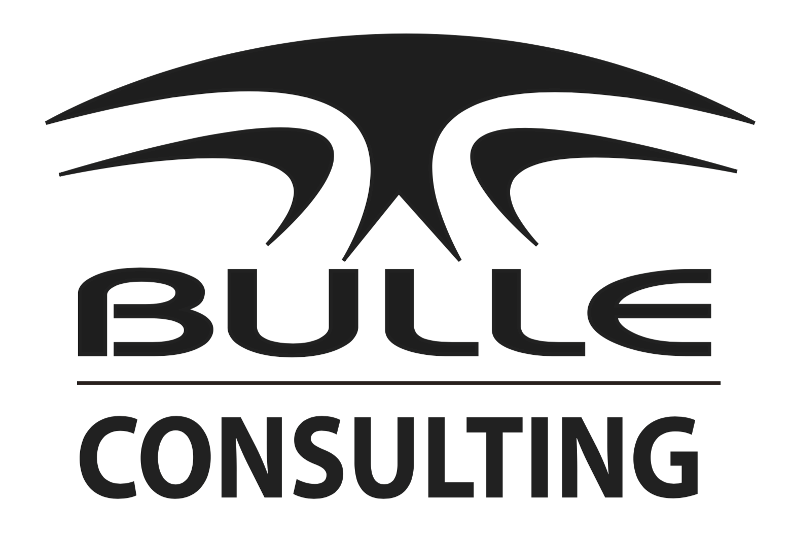 Bulle Consulting